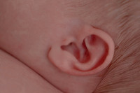 Chloe Newborn '26