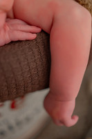 Ford Newborn '25
