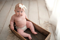 Vivie 6 months '24