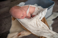 Liam Newborn '24