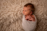 Davison Newborn '21